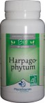 harpagophytum.png